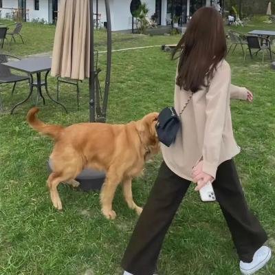 流动的中国 海报