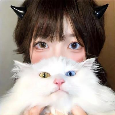天使与怨灵 海报